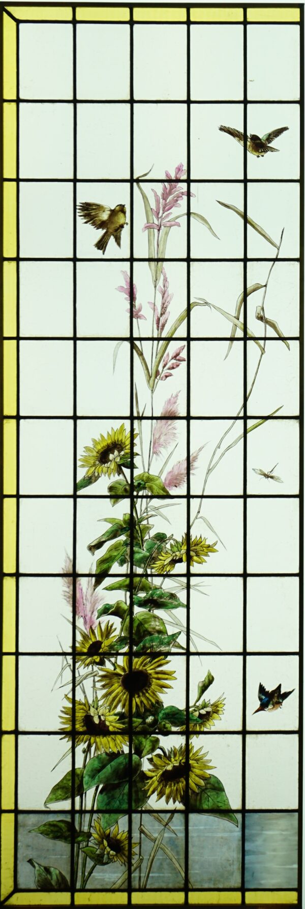 Tournesols, dahlias et oiseaux – Image 3