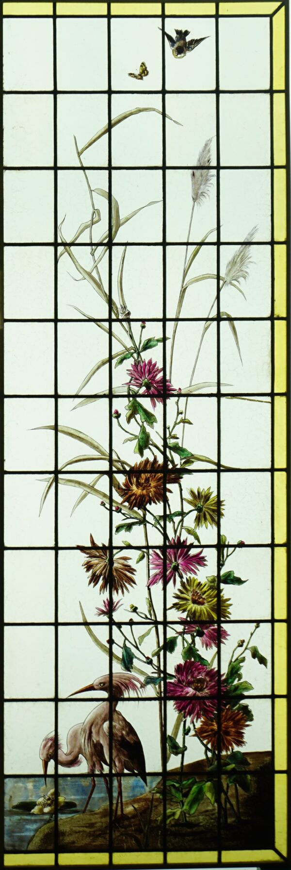 Tournesols, dahlias et oiseaux – Image 2