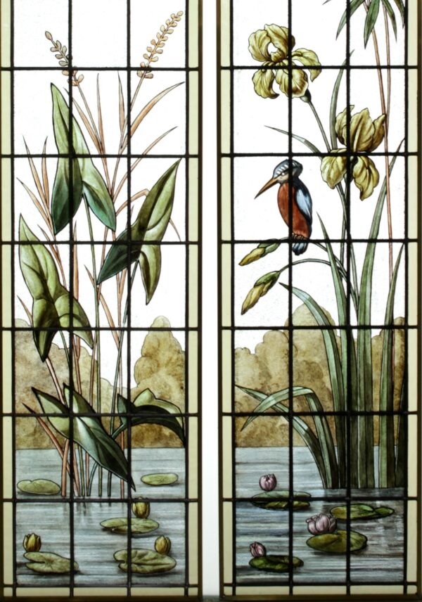 Végétation au martin pêcheur – Image 2