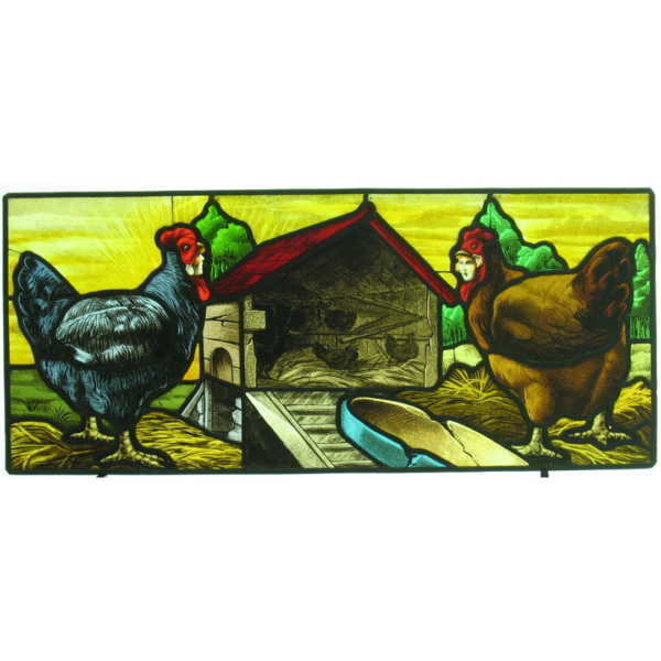 Les belles poules