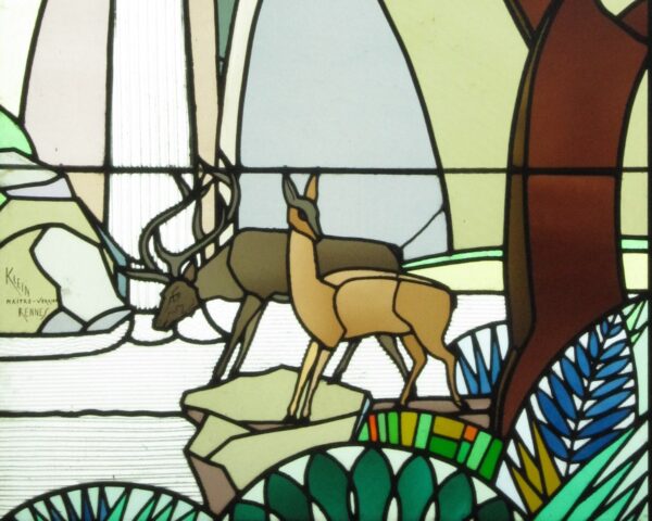 Cervidés au bord de l'eau – Image 2
