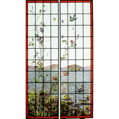 Végétation Au Bord De l'Eau