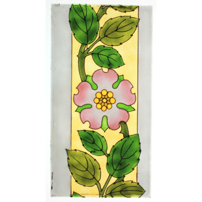 Fleur d'aubépine