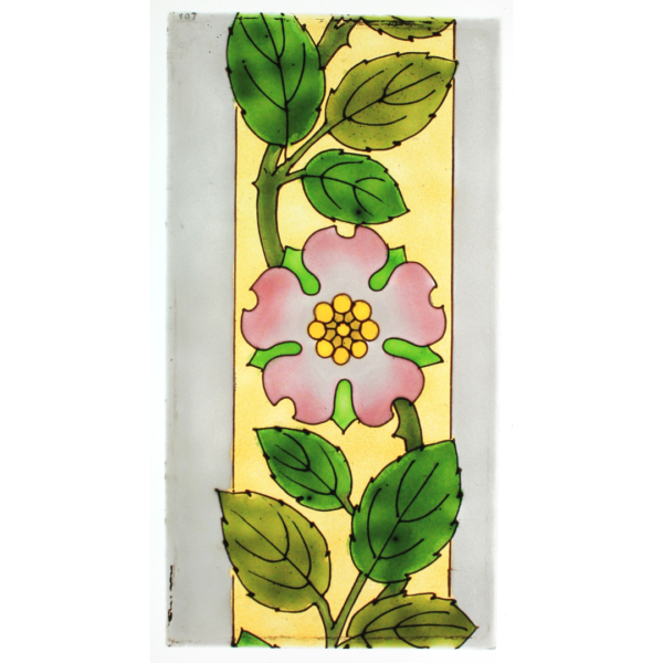 Fleur d'aubépine