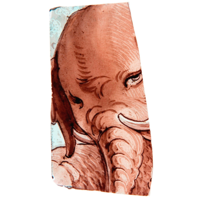 Tête d'éléphant