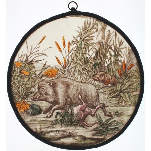 Sanglier et chiens de chasse