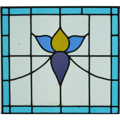 Fleur bleue