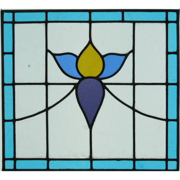 Fleur bleue