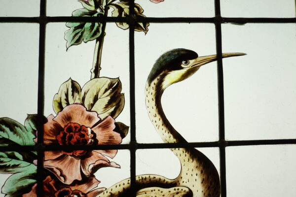 Hérons, Mésanges et Libellules – Image 9