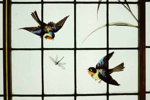 Hérons, Mésanges et Libellules – Image 4