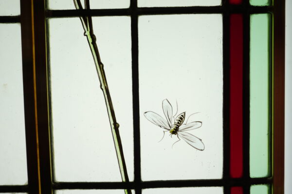 Hérons, Mésanges et Libellules – Image 5