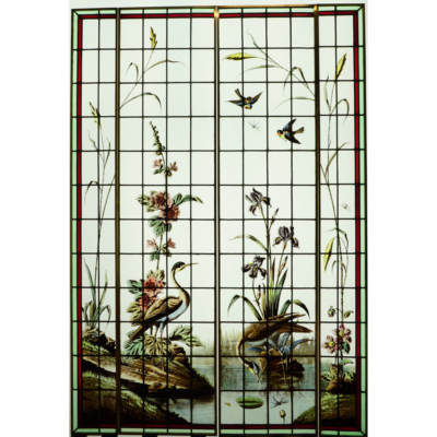 Hérons, Mésanges et Libellules