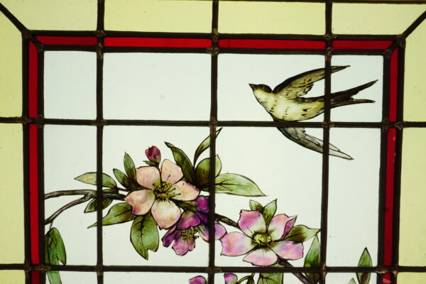 Roses en tous genres, survolées d'hirondelles – Image 8