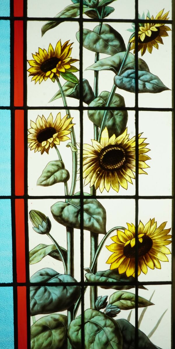 Pavots, Tournesols Et Glycine – Image 3