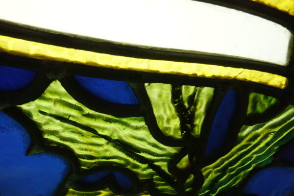 Branches de houx – Image 7